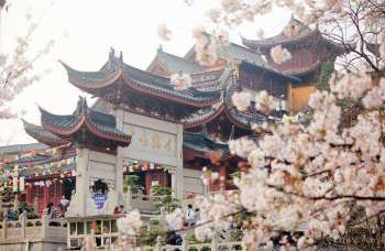 南京拼游攻略
