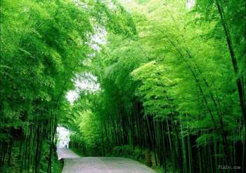 蜀南竹海旅游心得分享