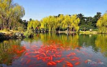 西湖旅游攻略