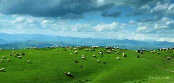 伊犁拼游、旅游经验