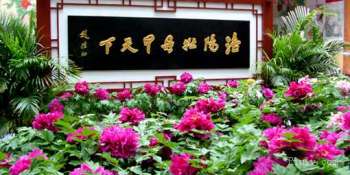 洛阳拼游攻略