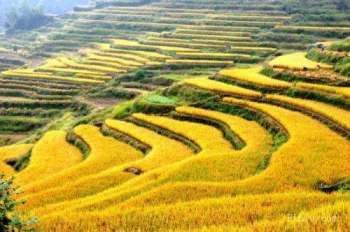 云和梯田拼游、旅游经验