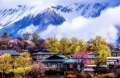 3月林芝桃花节之旅
